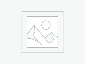 Printers & Accessories